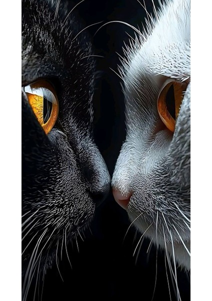 Ya Aşk Ya Da Kavga 1 Ev Duvar Salon Güzellik Salonu Ofis Dükkan Dekarasyon Kanvas Tablo fiyatları