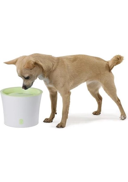 Catit Ekonomik Kedi Suluğu 3 Lt. fiyatları