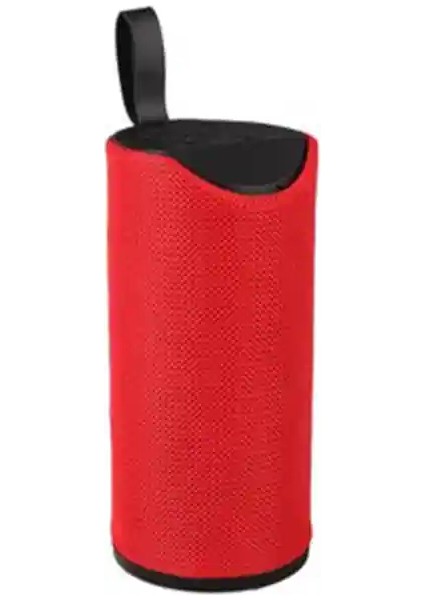 Portable Speaker V-113