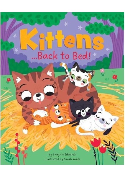 Picture Books Go Back To Bed Kittens