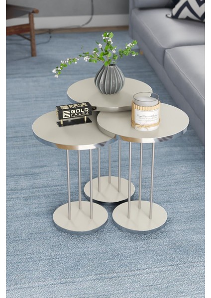 Orta Sehpa ve Zigon Sehpa Terra Set Gümüş Krem fırsatları