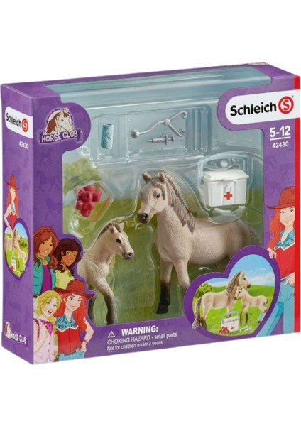 Hannah’nın İlk Yardım seti