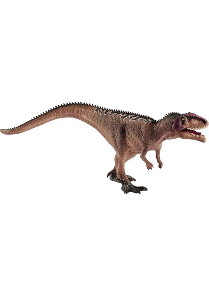 Yavru Giganotosaurus 15017