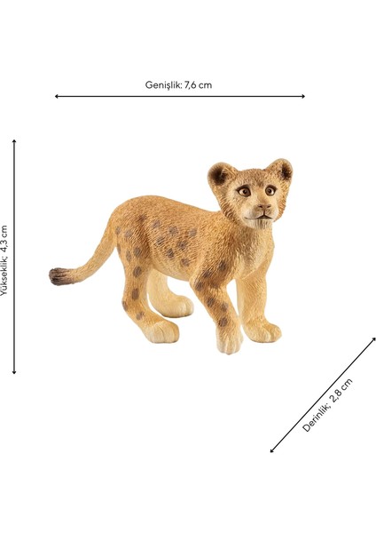Yavru Aslan 14813 fiyatları