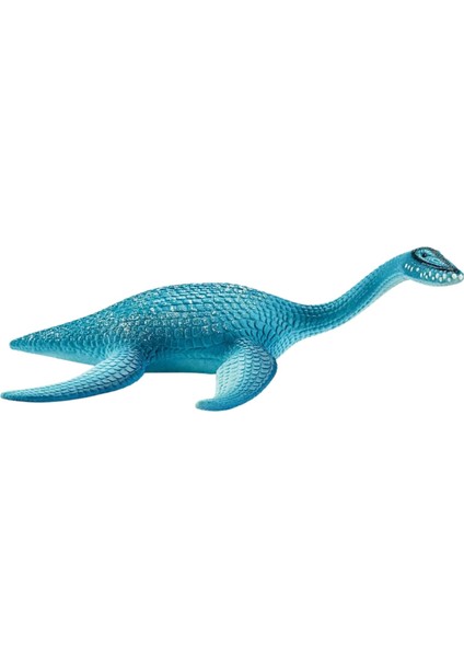 Plesiosaurus 15016