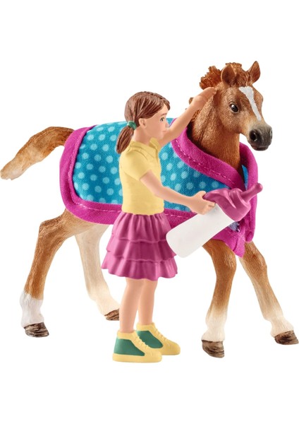 Tay Seti 42361 modelleri