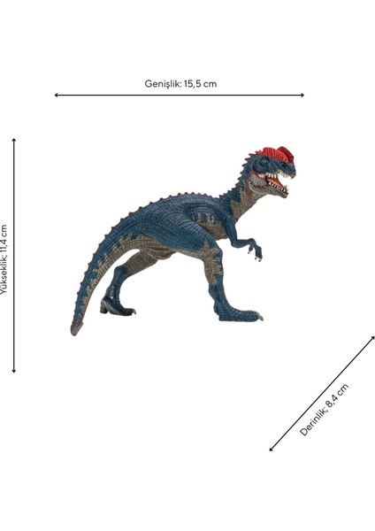 Imaginarium Dinazor Maketi - Ed Dılophosaurus fiyatları