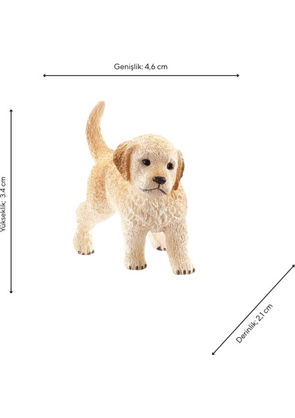 Golden Retriever Yavru 16396 fiyatları