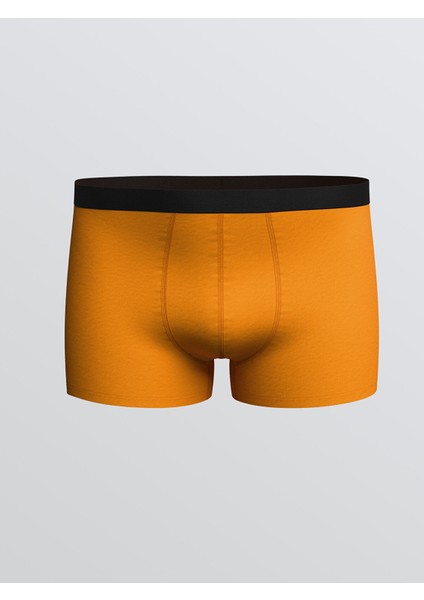 Yeni Sezon Standart Kalıp Pamuklu Esnek Erkek Boxer 3'lü fırsatları