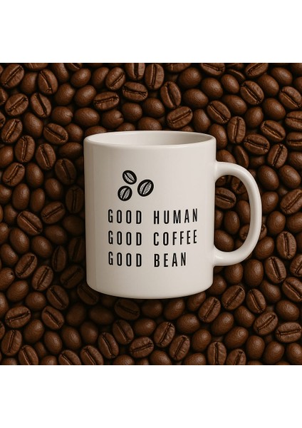 Kahve Demleme Tanışma Seti V60, Sürahi, Stand, Kupa Bardak