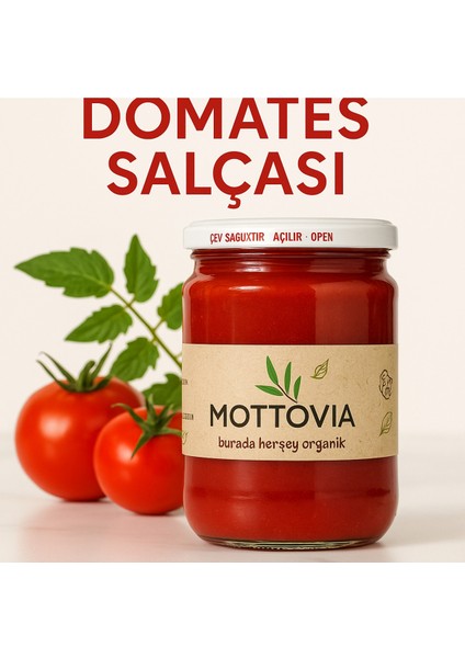 Domates Salçası 600 Gr. Organik Ev Yapımı Salça fiyatları
