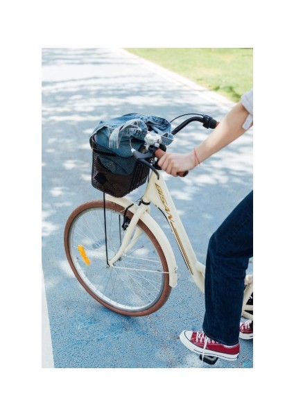 Sorrento Şehir Bisikleti 44 cm V 26 Jant 3 Vites Krem Gold modelleri