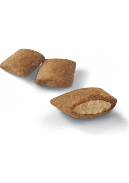 Exigent Seçici Köpekler için Yaş Köpek Maması 12 x 85g