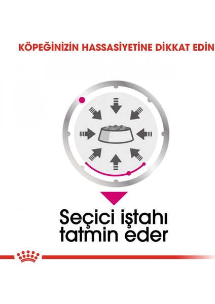 Exigent Seçici Köpekler için Yaş Köpek Maması 12 x 85g