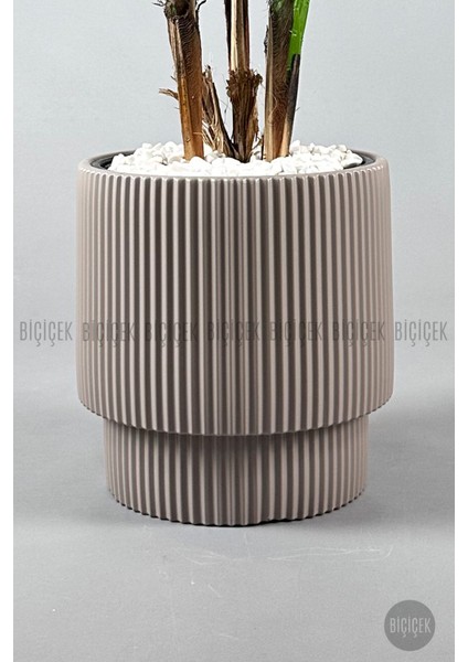 Vega Saksı 37 cm ve Iç Kova Dahil indirimleri