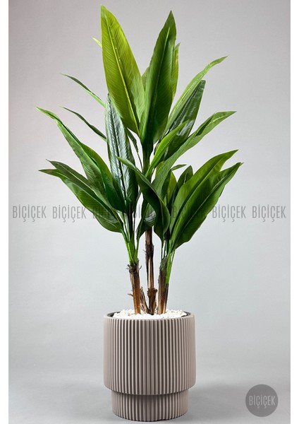 Vega Saksı 37 cm ve Iç Kova Dahil