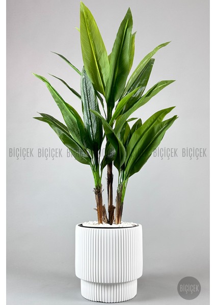 Vega Saksı 37 cm ve Iç Kova Dahil