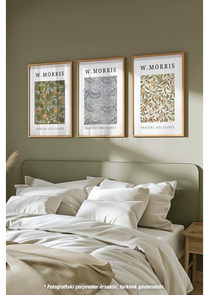 Morris 3'lü Ahşap Çerçeveli Poster, Tablo Seti No:5 fiyatları