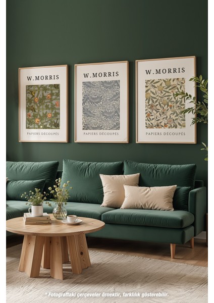 Morris 3'lü Ahşap Çerçeveli Poster, Tablo Seti No:5 modelleri