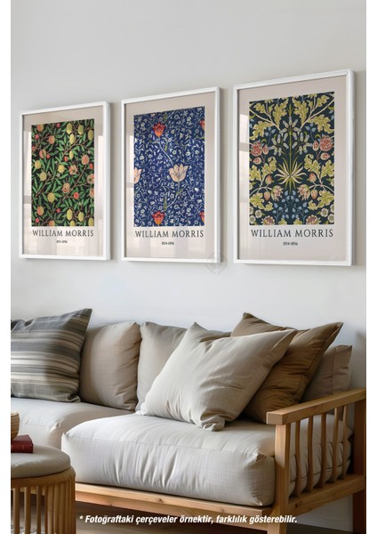 Morris 3'lü Beyaz Çerçeveli Poster, Tablo Seti No:45