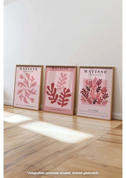 Pembe Matisse 3'lü Ahşap Çerçeveli Poster, Tablo Seti No:33 fırsatları