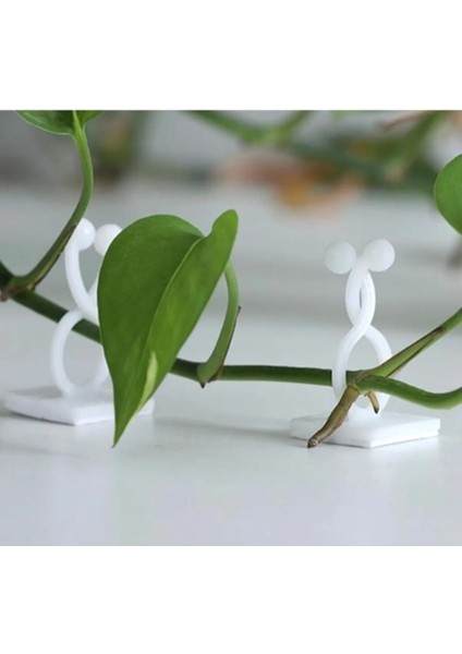 10 Adet Bitki Klipsi Sarmaşık Tutucu Kendinden Yapışkanlı Pratik Ürün fiyatları