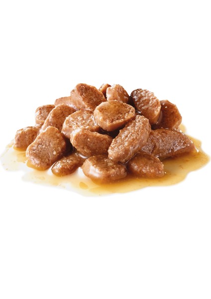 Instinctive Yaş Kedi Maması 85g