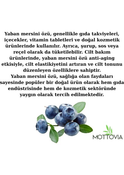 Karadut Özü 700 gr Karadut Konsantresi Şurubu fırsatları