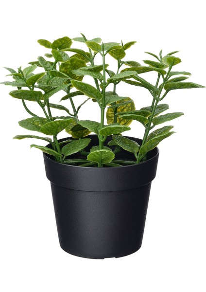 Yapay Bitki, Yeşil, 9 Cm, Nane, Iç/dış Mekan