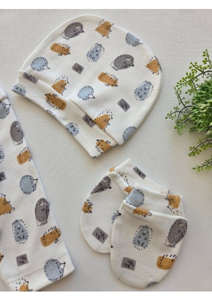 %100 Pamuk Yenidoğan Erkek Bebek 5 Parça Hastane Çıkış Seti fiyatları