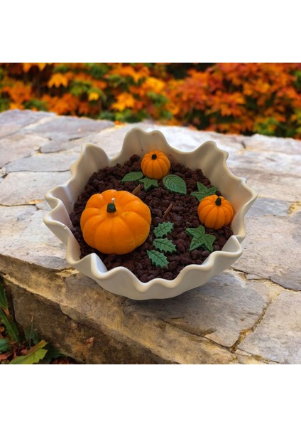 Balkabağı Kase Mum fırsatları