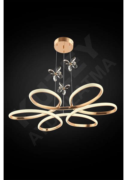 Renkli Kumandalı Papatya Taşlı LED Aydınlatma 3'lü Set modelleri