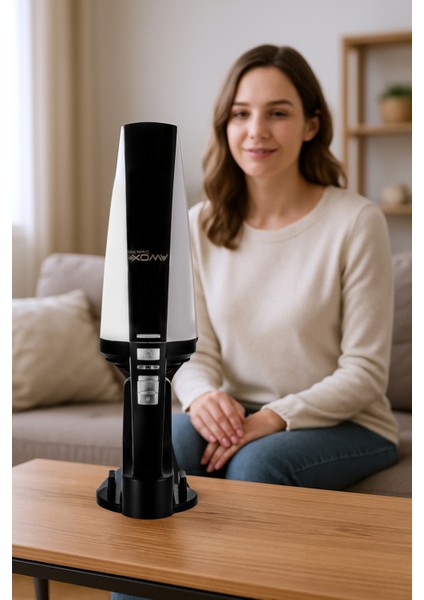 Şarjlı Araç Süpürgesi, Siyah, Güçlü ve Pratik Temizlik Aracı