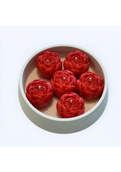 Gül Kase Mum fırsatları