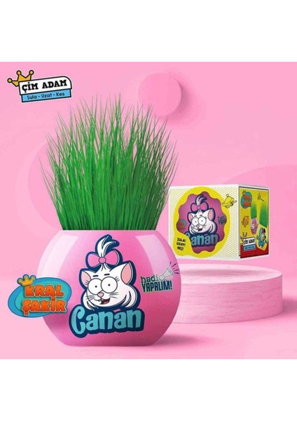 Aden Oyuncak Kral Şakir Çim Adam Seti 3321-PEMBE