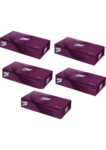 Ekstra Kutu Mendil 80 Yaprak- 5 Li Paket