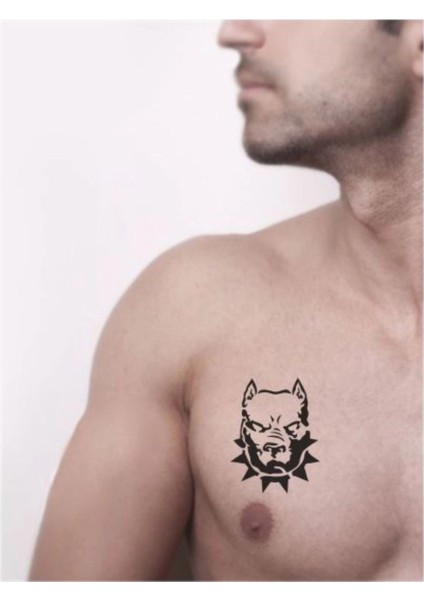 Pitbul Köpek Tattoo Geçici Dövme Şablonları Kına Kalıpları fiyatları