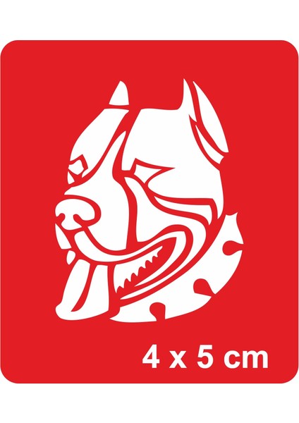 Dikkat Köpek Var! Tattoo Geçici Dövme Şablonları Kına Kalıpları