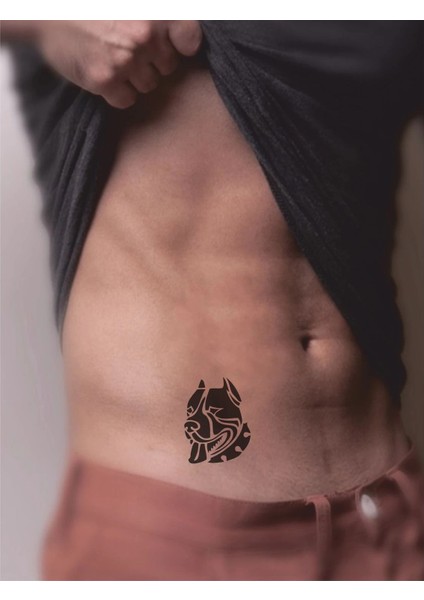 Dikkat Köpek Var! Tattoo Geçici Dövme Şablonları Kına Kalıpları fiyatları