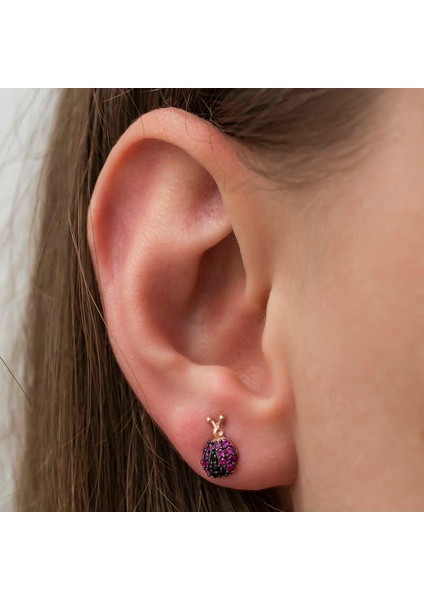 Gümüş Uğur Böceği Küpe modelleri