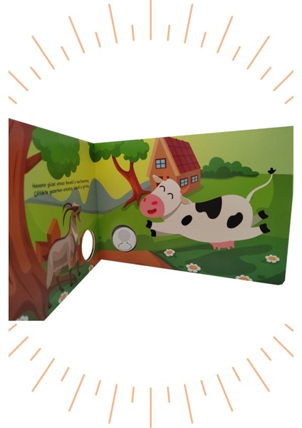 Sesli Kitap Inek modelleri