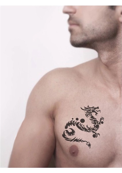 Ateşin Çocuğu Ejderha Tattoo Geçici Dövme Şablonları Kına Kalıpları fiyatları