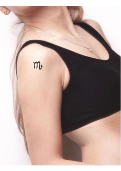 Akrep Burcu Tattoo Geçici Dövme Şablonları Kına Kalıpları fiyatları