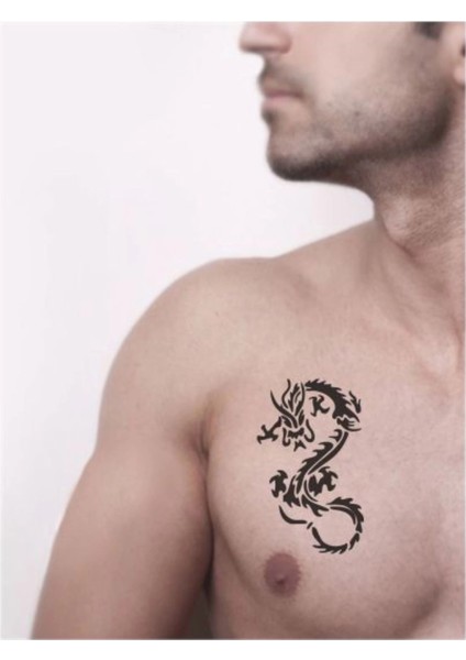 Dev Yılan Gibi Ejderha Tattoo Geçici Dövme Şablonları Kına Kalıpları fiyatları