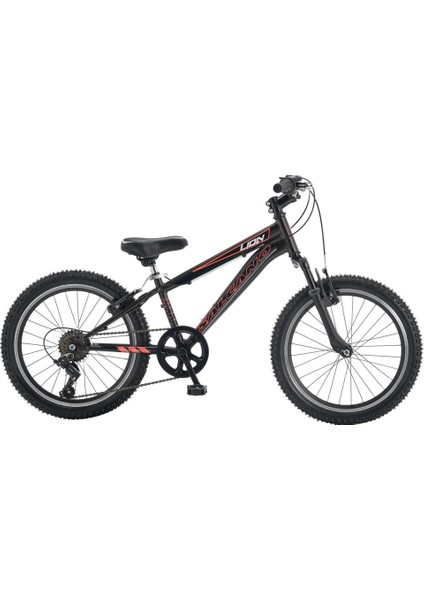 Lion 20 Erkek Çocuk Bisikleti, Vitesli Siyah Kırmızı