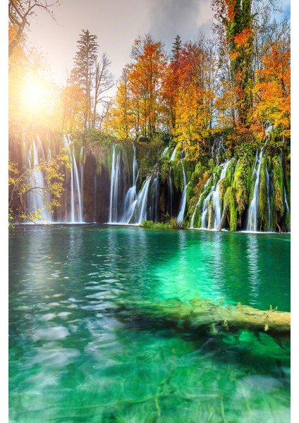 Orman ve Şelale Manzaralı Tek Parça Duvar Kağıdı modelleri