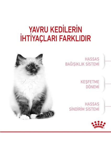 Kitten Yavru Kedi Maması 2 kg Orijinal Paket Orijinal Lezzet