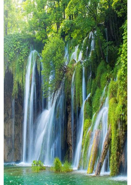 Orman ve Şelale Manzaralı Tek Parça Duvar Kağıdı modelleri