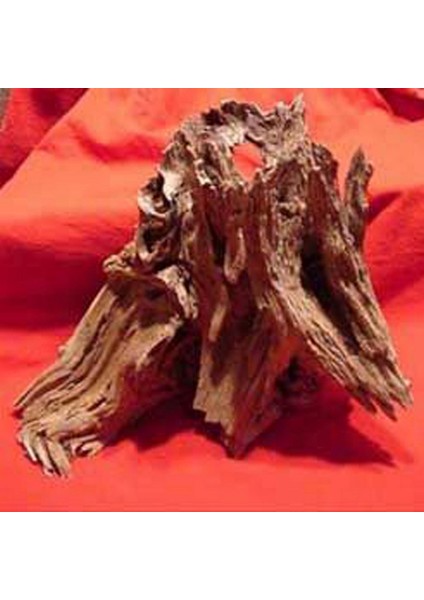 Zengezur Mangrove Akvaryum Kütüğü L (10 Ad.)