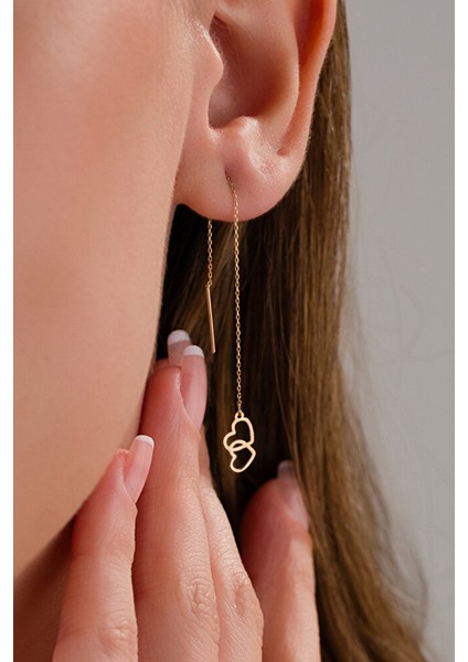 14 Ayar Altın Iki Kalpli Sallantılı Küpe fiyatları